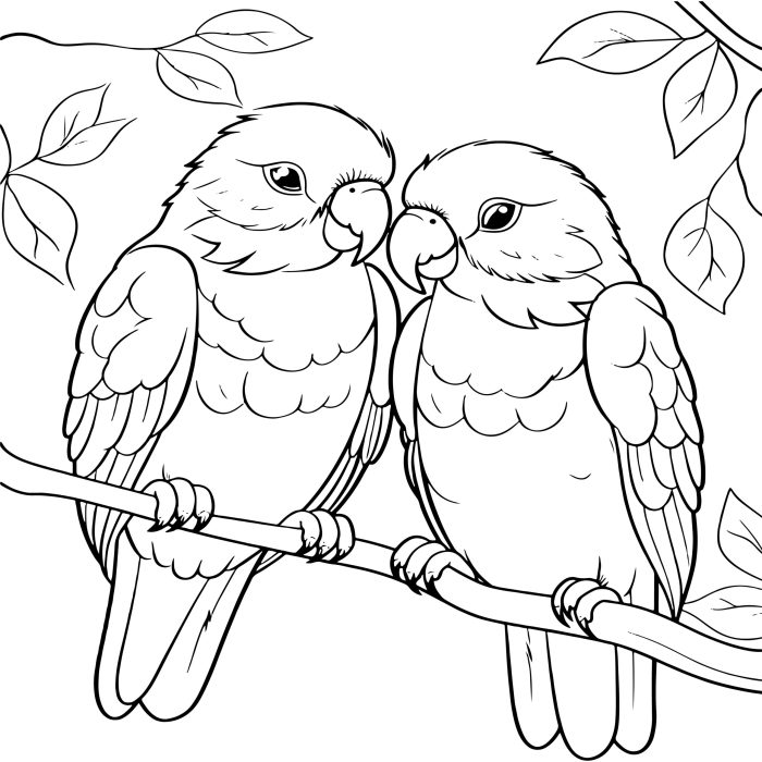 Bird coloring book printable